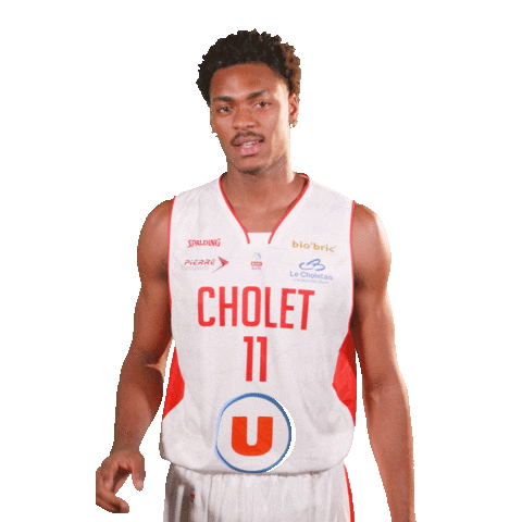Sport Basketball Sticker by Cholet Basket