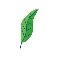 Snack Leaf Sticker by Tasman Bay Food Co.