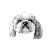 Gracias Whisky Sticker by HolaColor