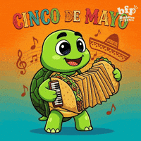 Playing Cinco De Mayo GIF by Buddies for Paws