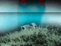 Vintage GIF by jorgemariozuleta