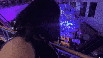 Look At This Let Me Show You GIF