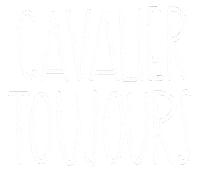 atelierponey white blanc francais cheval Sticker