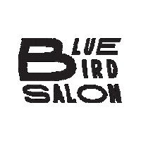 Brooklyn Salon Sticker by Bluebird Theatre Company
