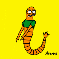shrempin dance tv show pepe groove GIF