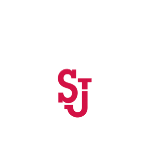 Ncaa Sports Sport Sticker by St. John's Red Storm
