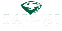 Soccer Athletics Sticker by Babson College