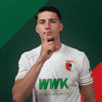 Party Celebration GIF by FC Augsburg 1907