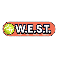 Loveallsg Sticker by Love All Sports