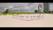 Sport Racing GIF by W Series