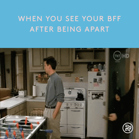 GIF by Refinery 29 GIFs