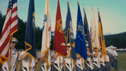 Air Force Flag GIF by Norwich University