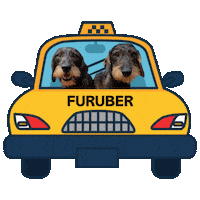 Taxi Dachshund Sticker by Empower Fitness
