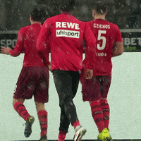 1 Fc Cologne Football GIF by 1. FC Köln