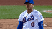 Happy Ny Mets GIF by New York Mets