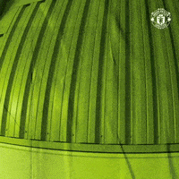 One Love Sport GIF by Manchester United