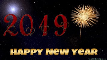 New Year Celebration GIF by echilibrultau