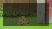 Jesus Christ Dog GIF