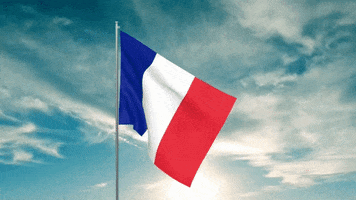 Digital illustration gif. Digitized French flag waves in the wind against a cloudy blue sky background and shining sun. 