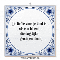 Humor Nl GIF by Tegelspreuken.nl