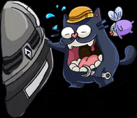 Dwarf-Factory cat meme car cats GIF