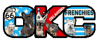 French Bulldog Sticker by OKC Frenchies
