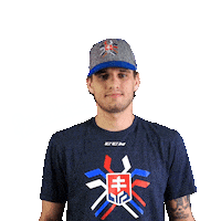 hockey slovakia Sticker by Pilsner Urquell