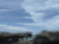 Footage Oaf GIF by jorgemariozuleta