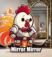 Mirror Mirror Fashion GIF by Zorooster