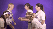 Softball GIF by Linfield Athletics