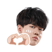 Fw Flashwolves Sticker