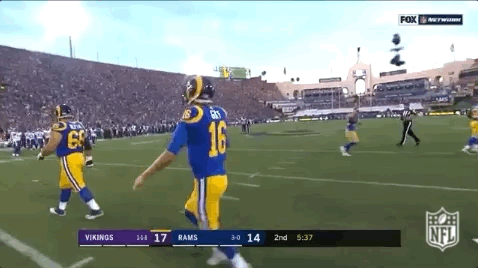 2018 Nfl Football GIF by NFL