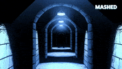 Animation Dark GIF by Mashed