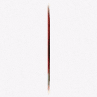 Photographer Lollapalooza GIF by Respective