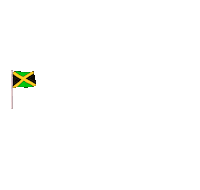 Roller Coaster Jamaica Sticker by Ultra Records