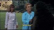 joan crawford feud GIF by Warner Archive