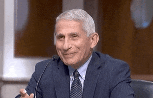 Laugh Lol GIF by GIPHY News