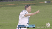 Look At That Regular Season GIF by NFL