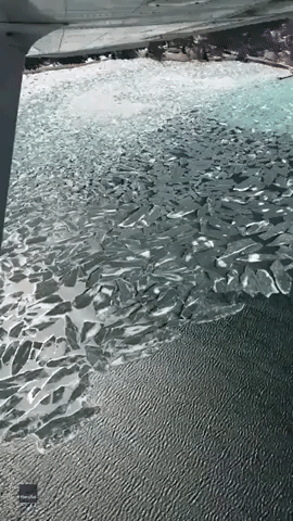Thawing Michigan Lake Leaves Behind Array of Geometric Ice Shards