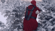 Christmas Tree Fun GIF by Bouygues Telecom