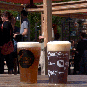 Ville_Angers giphyupload beer biere apero GIF