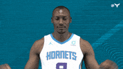Bismack Biyombo Sport GIF by Charlotte Hornets