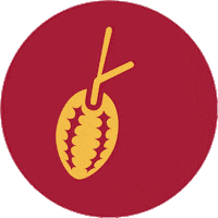 AltinmarkaOfficial chocolate cocoa bitter kakao Sticker