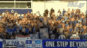 pas_gr football soccer fans greece GIF