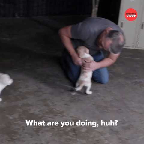 What are you doing, huh?