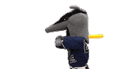 Uc Irvine College Sticker by UCI Athletics