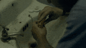Netflix GIF by Bloodline