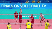 Shall Not Pass Right Time GIF by Volleyball World