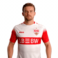 No Way Wow GIF by VfB Stuttgart 1893