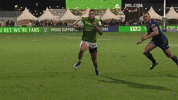 Rugby League Nrl GIF by Canberra Raiders